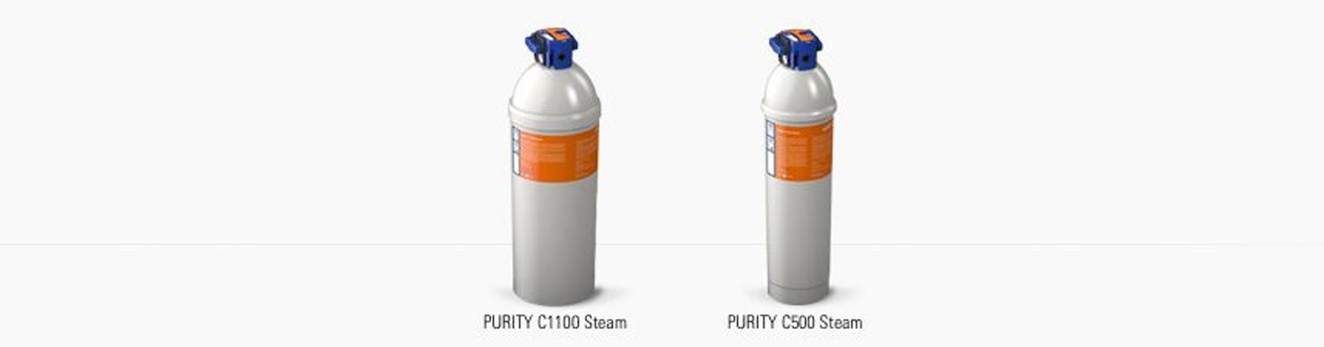 PURITY C Steam